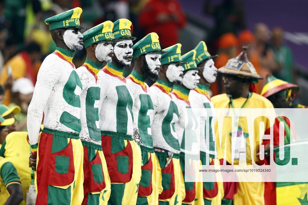 DOHA - Supporters of Senegal during the FIFA World Cup, WM, Weltmeisterschaft, Fussball Qatar 2022 group A match between Senegal and Netherlands at Al Thumama Stadium on November 21, 2022 in Doha, Qatar. ANP MAURICE VAN STONE FIFA World Cup Qatar 2022 2022 ANPxSportx IVx
