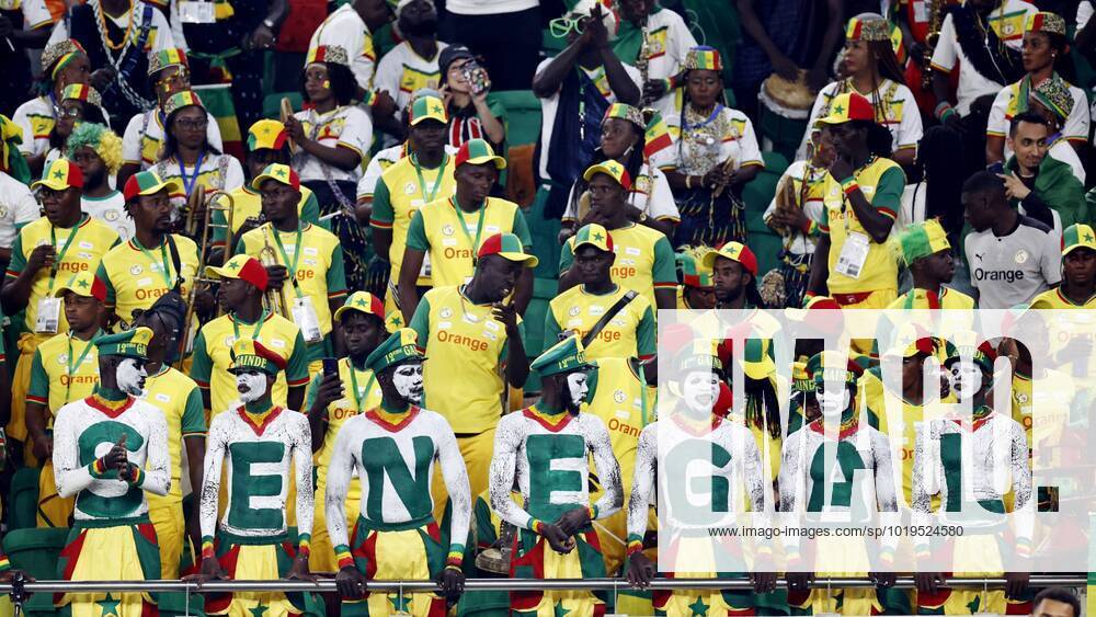 DOHA - Supporters of Senegal during the FIFA World Cup, WM, Weltmeisterschaft, Fussball Qatar 2022 group A match between Senegal and Netherlands at Al Thumama Stadium on November 21, 2022 in Doha, Qatar. ANP MAURICE VAN STONE FIFA World Cup Qatar 2022 2022 ANPxSportx IVx