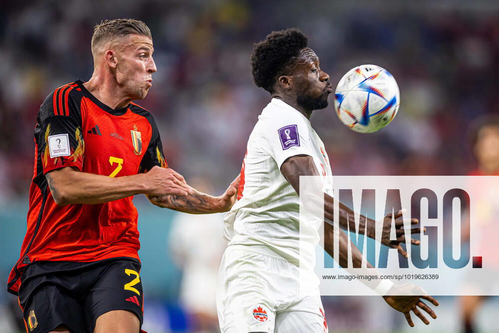 DOHA, KATAR, AHMAD BIN ALI STADIUM, PILKA NOZNA MISTRZOSTWA SWIATA W PILCE NOZNEJ KATAR 2022 ( FIFA World Cup, WM, Weltmeisterschaft, Fussball QATAR 2022 ) MECZ BELGIA - KANADA GAME BELGIUM - CANADA NZ ALPHONSO DAVIS TOBY ALDERWEIRELD FOTO LUKASZ SKWIOT CYFRASPORT NEWSPIX.PL --- Newspix.pl 20221123CSLS187