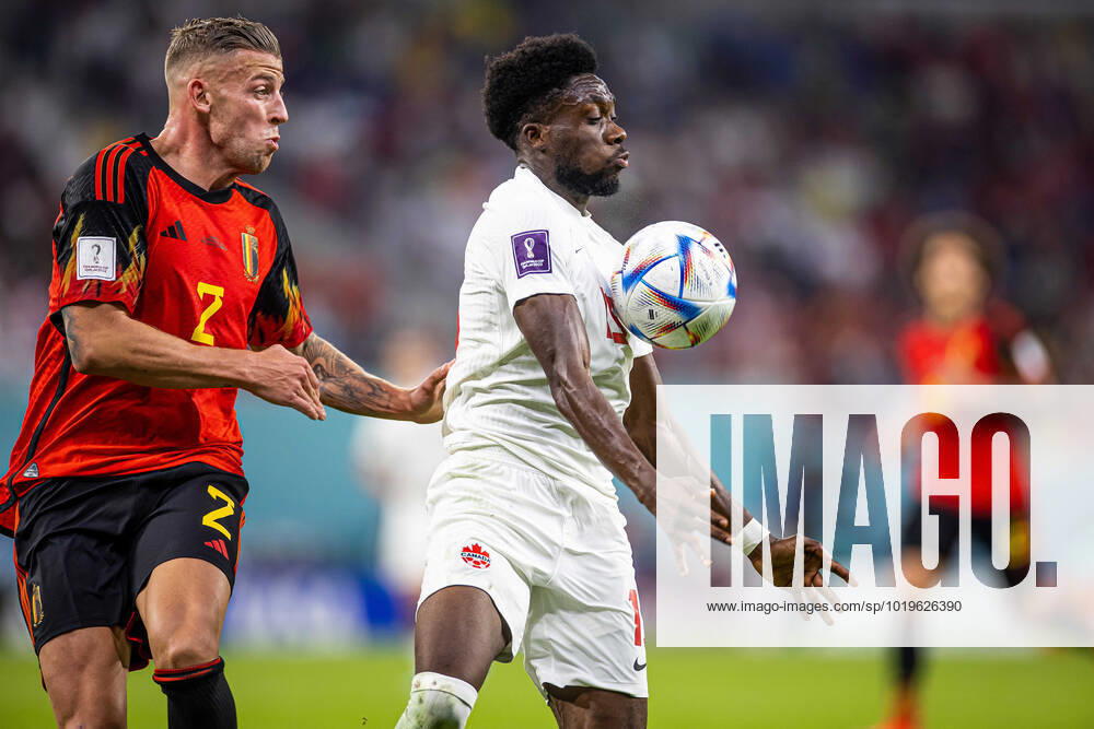 DOHA, KATAR, AHMAD BIN ALI STADIUM, PILKA NOZNA MISTRZOSTWA SWIATA W PILCE NOZNEJ KATAR 2022 ( FIFA World Cup, WM, Weltmeisterschaft, Fussball QATAR 2022 ) MECZ BELGIA - KANADA GAME BELGIUM - CANADA NZ ALPHONSO DAVIS TOBY ALDERWEIRELD FOTO LUKASZ SKWIOT CYFRASPORT NEWSPIX.PL --- Newspix.pl 20221123CSLS188