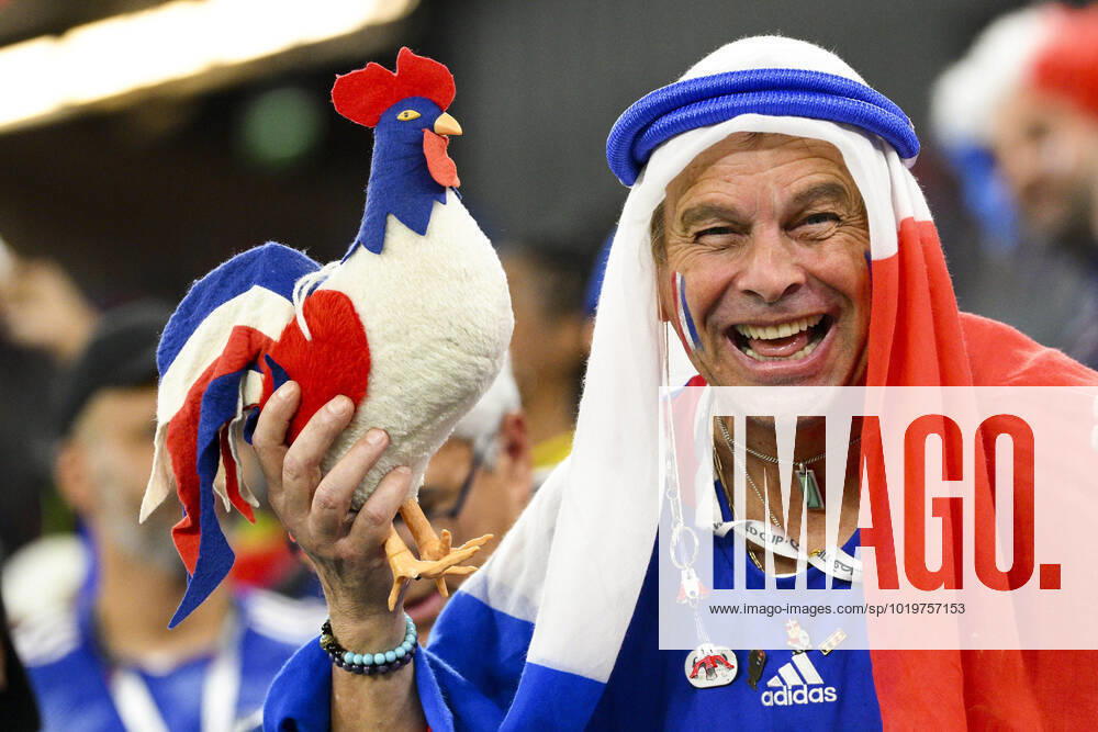 Supporters de l Equipe de France - Ambiance DomDom FOOTBALL : France vs Danemark - Groupe D - coupe du Monde Qatar 2022 - 26 11 2022 JBAutissier Panoramic