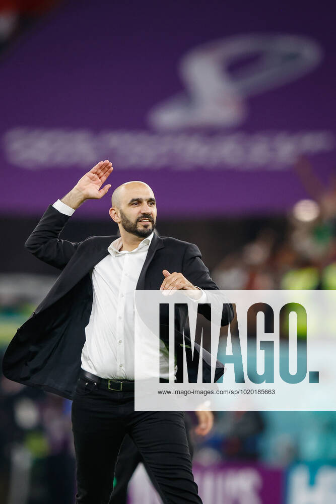 Morocco vs portugal DOHA, CA - 10.12.2022: MOROCCO VS PORTUGAL - Coach REGRAGUI Walid from Morocco celebrates ranking during the match between Morocco and Portugal, valid for the quarterfinals of the World Cup, held at the Al Thumama Stadium in Doha, Qatar. (Photo: Rodolfo Buhrer La Imagem Fotoarena) x2308661x RodolfoxBuhrer
