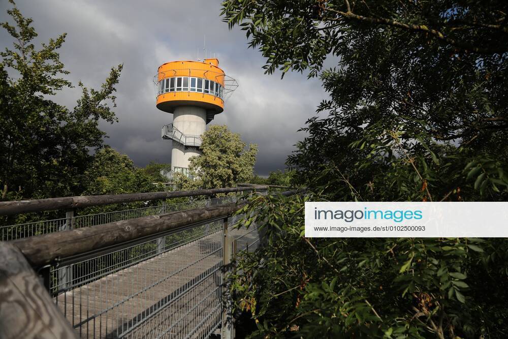 Baumkronenpfad Schönstedt 15.07.2020 , Schönstedt, Baumkronenpfad im Nationalpark Hainich