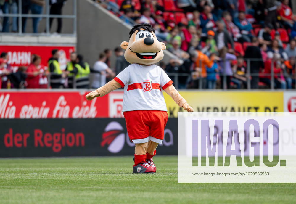 Jahni, das Maskottchen des SSV Jahn Regensburg, sorgt fuer Pausenunterhaltung. SSV Jahn Regensburg gegen Hamburger SV, Fussball, 2. Bundesliga, 32. Spieltag, Saison 2022 2023, 14.05.2023. . SSV Jahn Regensburg gegen Hamburger SV, Fussball, 2. Bundesliga, 32. Spieltag, Saison 2022 2023, 14.05.2023. Regensburg