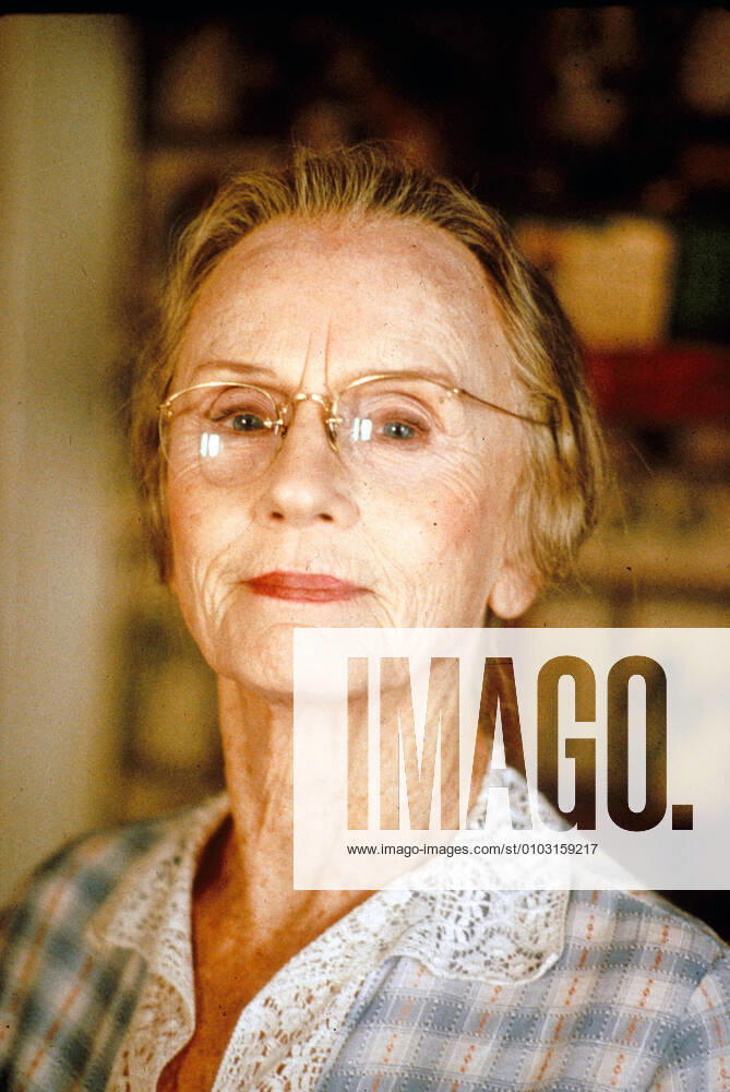 OSCARS. Beste Hauptdarstellerin. Preisträgerinnen 1981-1990 DRIVING MISS DAISY JESSICA TANDY DRIVING MISS DAISY Date: 1988. Strictly editorial use only in conjunction with the promotion of the film. Credit line mandatory. This image is copyright of the film company and is supplied under the terms of issue as film still. No commercial or book cover use permitted without prior consent from the film company. Mandatory credit line: Image courtesy Warner Bros. Ronald Grant Archive Mary Evans