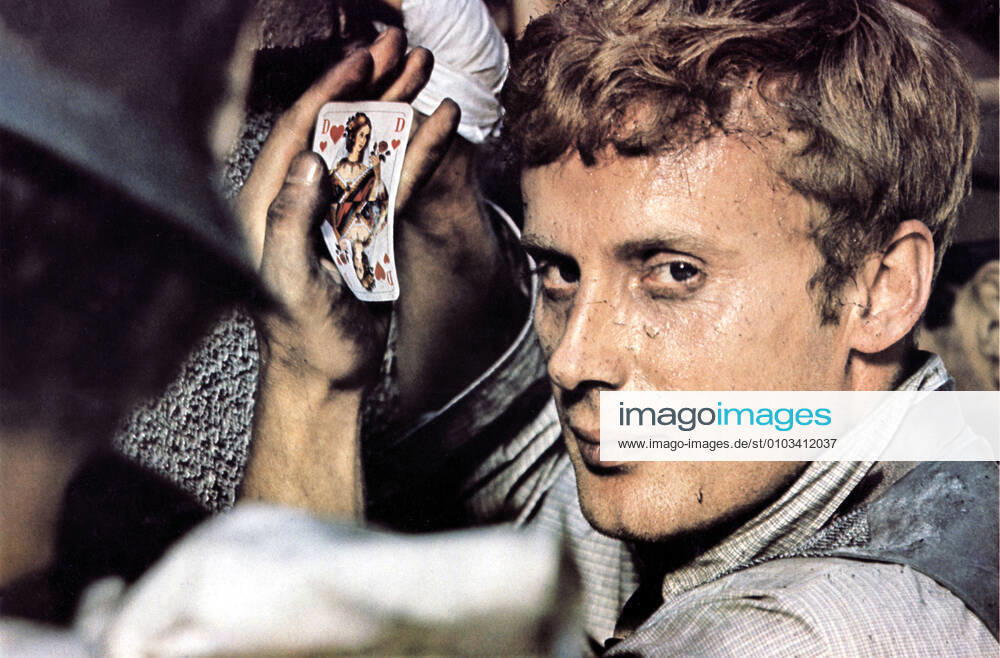 DIE BLECHTROMMEL aka THE TIN DRUM DANIEL OLBRYCHSKI Date: 1979. Strictly editorial use only in conjunction with the promotion of the film. Credit line mandatory. This image is copyright of the film company and is supplied under the terms of issue as film still. No commercial or book cover use permitted without prior consent from the film company. Mandatory credit line: Image courtesy ARGOS FILMS ARTEMIS PRODUCTIONS BIOSKOP FILMS FILM POL Ronald Grant Archive Mary Evans