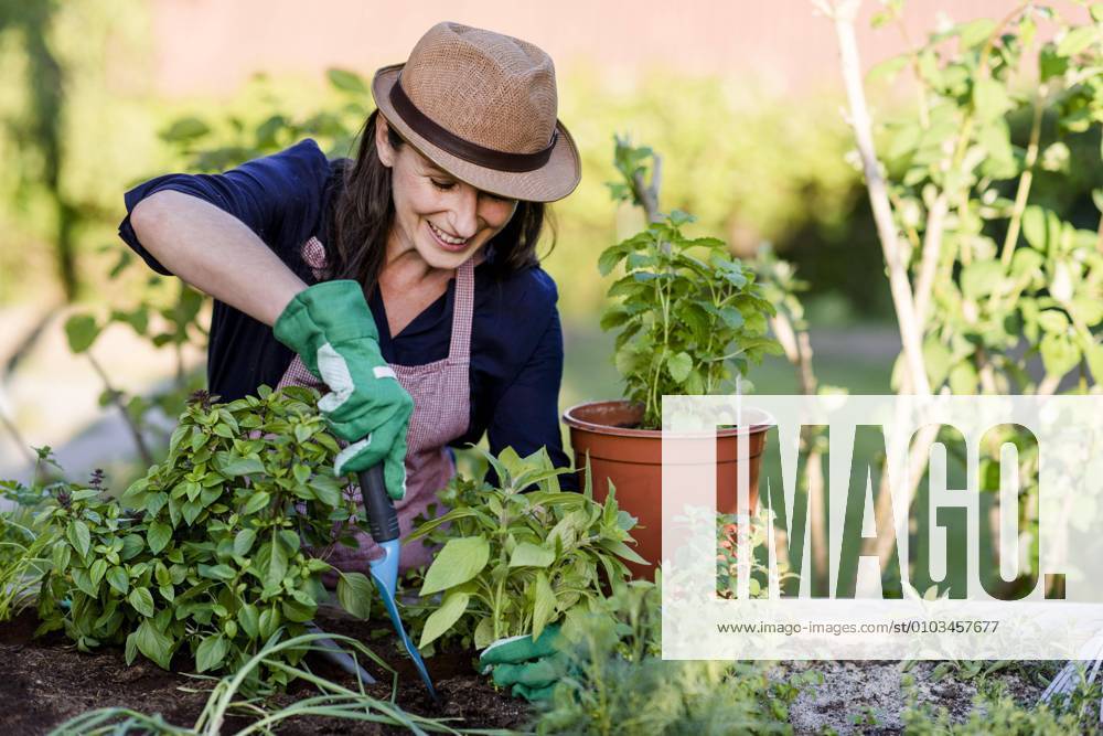 IMAGO Creative, Jahreszeit Sommer, Sonnenschutz Frau bei Gartenarbeit am Hochbeet, Deutschland, Europa