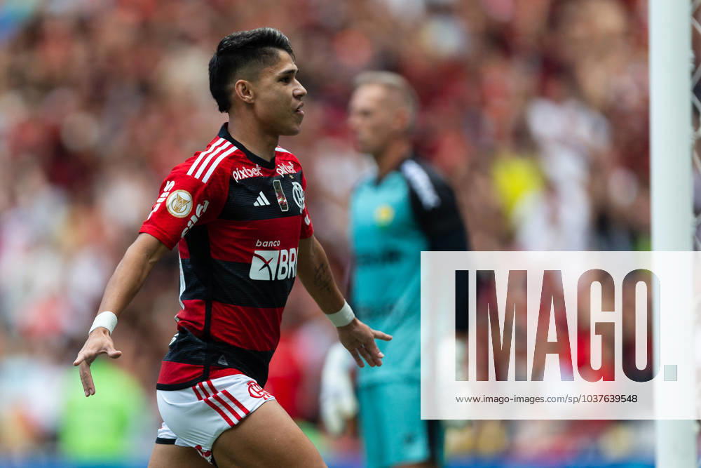 LUIZ ARAUJO of Flamengo celebrates during the match between Flamengo and Cuiaba as part of Brasileirao Serie A 2023 at Maracana Stadium on December 03, 2023 in Rio de Janeiro, Brazil. Rio de Janeiro Brazil - ZUMAc227 20231203_zsp_c227_055