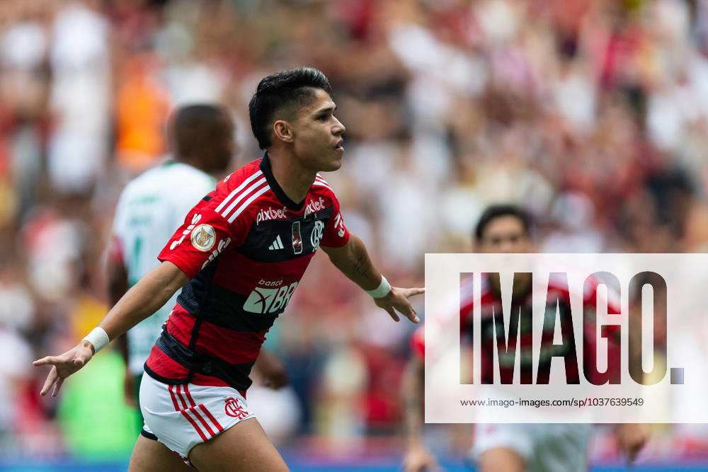 LUIZ ARAUJO of Flamengo celebrates during the match between Flamengo and Cuiaba as part of Brasileirao Serie A 2023 at Maracana Stadium on December 03, 2023 in Rio de Janeiro, Brazil. Rio de Janeiro Brazil - ZUMAc227 20231203_zsp_c227_056