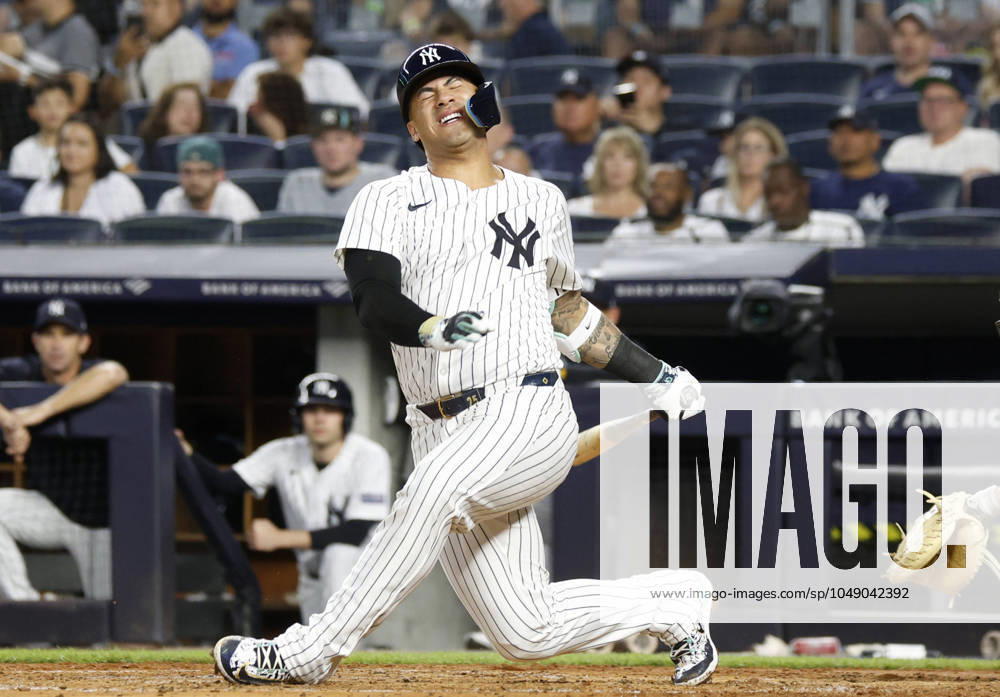 New York Yankees Gleyber Torres reacts after getting hit by a foul tip in the 4th inning against the Colorado Rockies at Yankee Stadium on Friday, August 23, 2024 in New York City. NYP20240823101 JOHNxANGELILLO