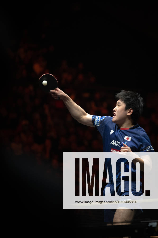 (241003) -- BEIJING, Oct. 3, 2024 -- Harimoto Tomokazu of Japan hits a return to Truls Moregard of Sweden during the men s singles round of 16 match at 2024 World Table tennis, Tischtennis (WTT) China Smash in Beijing, China, Oct. 3, 2024. ) (SP)CHINA-BEIJING-TABLE TENNIS-WTT-CHINA SMASH-MEN S SINGLES (CN) XiaoxYijiu
