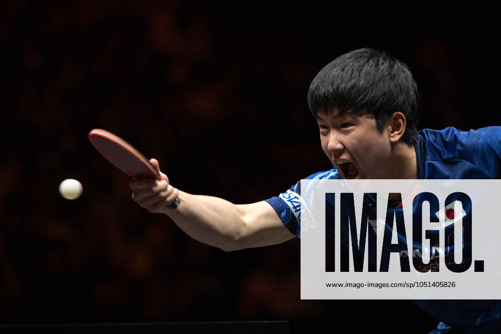 (241003) -- BEIJING, Oct. 3, 2024 -- Harimoto Tomokazu of Japan hits a return to Truls Moregard of Sweden during the men s singles round of 16 match at 2024 World Table tennis, Tischtennis (WTT) China Smash in Beijing, China, Oct. 3, 2024. ) (SP)CHINA-BEIJING-TABLE TENNIS-WTT-CHINA SMASH-MEN S SINGLES (CN) XiaoxYijiu