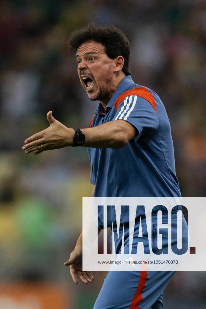 RIO DE JANEIRO, BRAZIL - OCTOBER 03: FERNANDO DINIZ, Head Coach of Cruzeiro, gestures during the match between Fluminense and Cruzeiro as part of Brasileirao 2024 at Maracana Stadium on October 03, 2024 in Rio de Janeiro, Brazil. Rio De Janeiro Brazil - ZUMAc227 20241003_zsp_c227_014