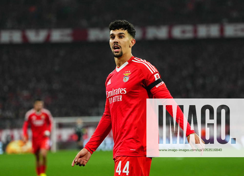 November 06 2024: Tomas Araujo of Benfica looks on during a Champions League Round 4 game, Bayern Munich versus Benfica, at Allianz Areana, Munich, Germany. CSM Munich Germany - ZUMAc04_ 20241106_zma_c04_366