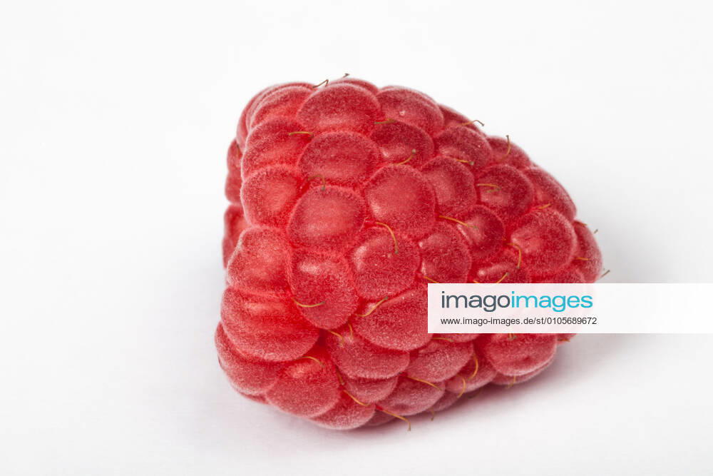 Himbeere Nahaufnahme