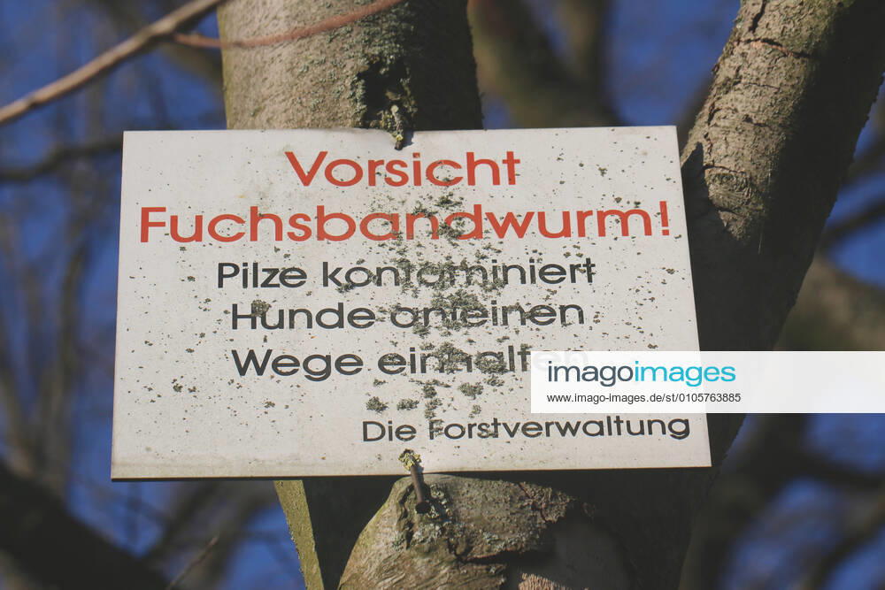 Kleiner Fuchsbandwurm (Echinococcus multilocularis), Warnhinweis der Forstverwaltung im Wald: Vorsicht Fuchsbandwurm, Deutschland lesser fox tapeworm, alveolar hydatid tapeworm (Echinococcus multilocularis), warning sign in a forest: caution, fox tapeworm, Germany BLWS628084