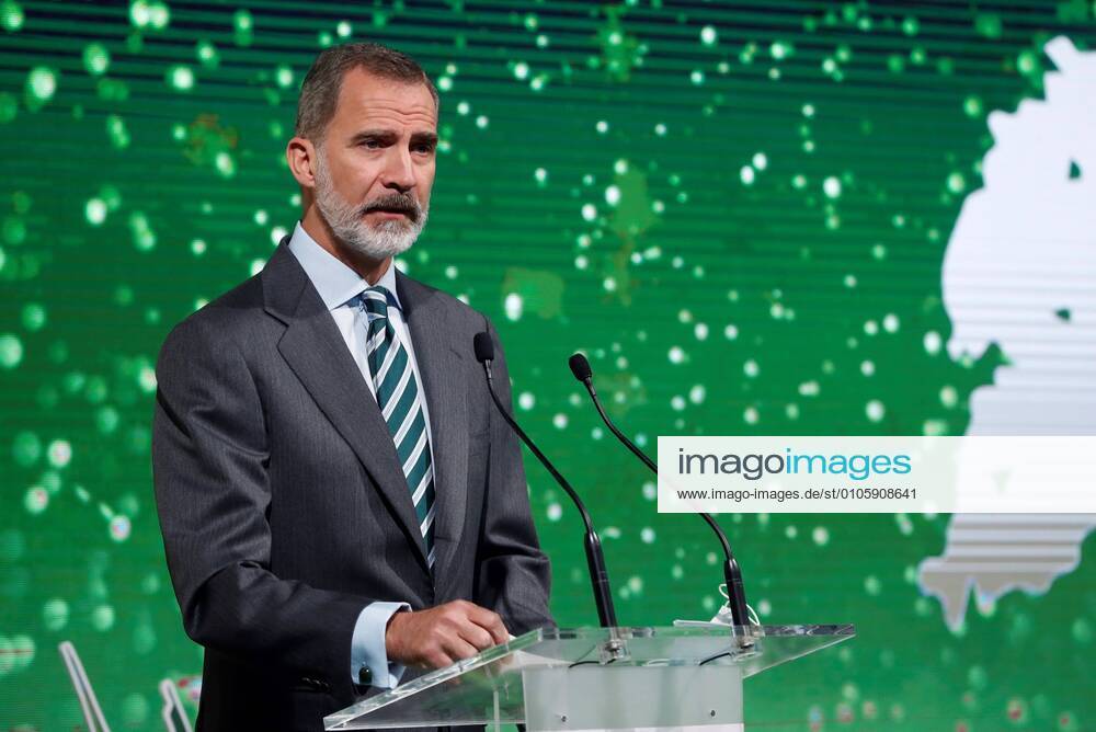 Spanish King Felipe VI delivers a speech during European Bussines Awards for the Environment awarding ceremony in Madrid, Spain, 28 October 2020. The awards celebrate companies at the forefront of eco-innovation, or that have a respect for the environment at the very core of their business principles. King Felipe VI chairs European Bussines Awards for the Environment awarding ceremony !ACHTUNG: NUR REDAKTIONELLE NUTZUNG!