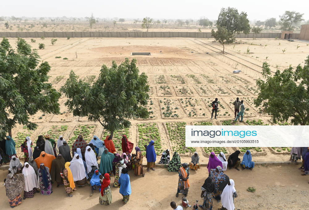 Niger, Maradi, irrigated vegetable garden NIGER, Maradi, village Dan Bako, project poverty reduction and adaption of climate change, community garden, vegetable farming with irrigation , water is pumped by solar powered pump