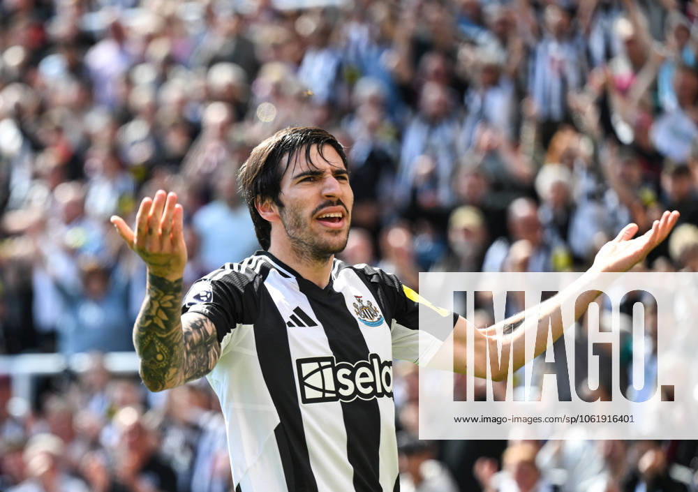 Sandro Tonali of Newcastle United celebrates scoring their first goal Newcastle United v Chelsea, Premier League, Football, St James Park, Newcastle, UK