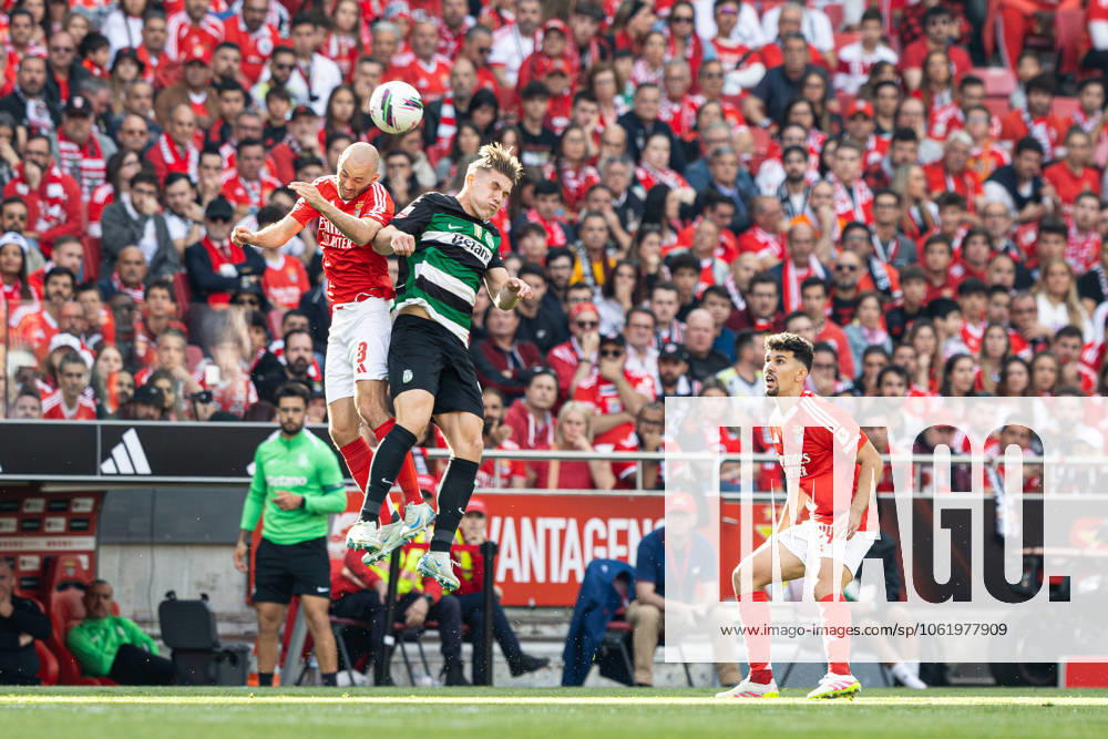 SL Benfica Vs Sporting CP in Lisboa, Portugal - 10 May 2025 Fredrik Aursnes and Tomas Araujo of SL Benfica vies for the ball with Viktor Gyokeres of Sporting CP during the Liga Portugal Betclic match between Lisboa Benfica and Sporting Clube de Portugal at Estádio da Luz. (Final score: SL Benfica 1 - 1 Sporting CP). Lisboa Portugal