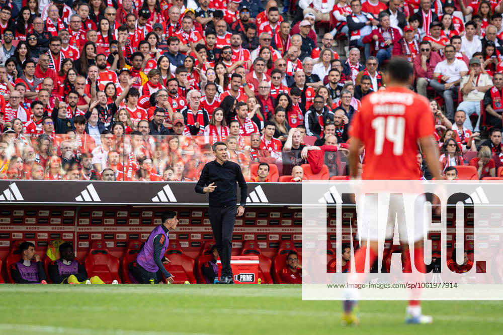 SL Benfica Vs Sporting CP in Lisboa, Portugal - 10 May 2025 Head Coach Bruno Lage seen in action during the Liga Portugal Betclic match between Lisboa Benfica and Sporting Clube de Portugal at Estádio da Luz. (Final score: SL Benfica 1 - 1 Sporting CP). Lisboa Portugal
