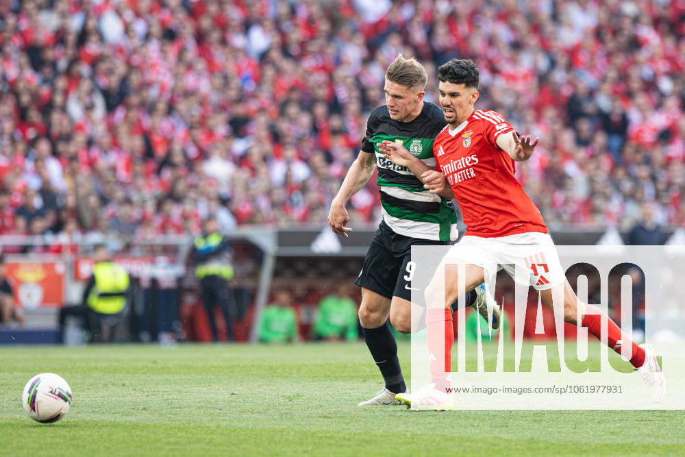 SL Benfica Vs Sporting CP in Lisboa, Portugal - 10 May 2025 Tomas Araujo of SL Benfica vies for the ball with Viktor Gyokeres of Sporting CP seen in action during the Liga Portugal Betclic match between Lisboa Benfica and Sporting Clube de Portugal at Estádio da Luz. (Final score: SL Benfica 1 - 1 Sporting CP). Lisboa Portugal