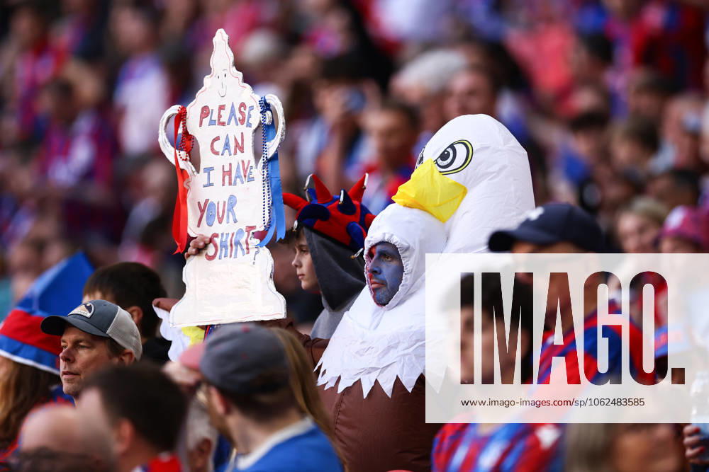 Crystal Palace v Manchester City 17 May 2025, London - FA Cup Final - Crystal Palace v Manchester City - A Palace fan dressed as an eagle - Photo: Jacques Feeney Offside. London UK