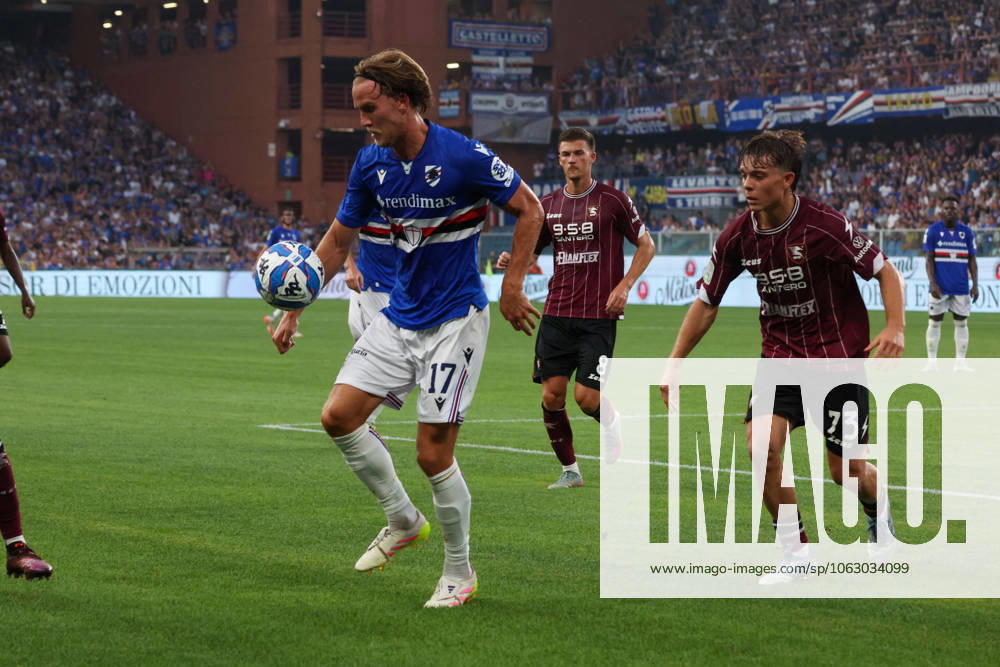 CALCIO - Serie B - PlayOut - UC Sampdoria vs US Salernitana Serie B, Playout, Genova, Stadio Ferraris, Sampdoria - Salernitana, in the photo: Meulensteen and Amatucci during PlayOut - UC Sampdoria vs US Salernitana, Italian soccer Serie B match in Genova, Italy, June 15 2025 Genova Italy