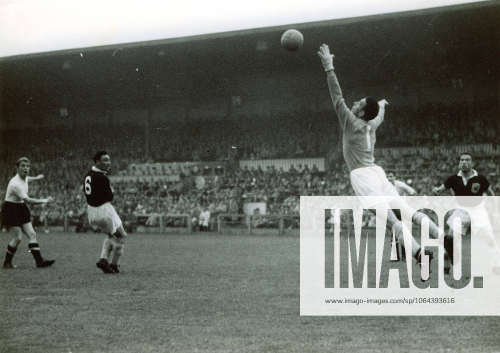Fussballweltmeisterschaft in der Schweiz Finalrunde Gruppe 3 Oesterreich - Schottland 1:0 (1:0) U.B.z. der baumlange Torwart Martin (2. v.r. SCO) meistert hier einen Weitschuss von Schleger (links AUT). Dazwischen Aussenlaeufer Cowie und ganz rechts Cunningham (beide SCO). 16.06.1954 in Zuerich (Hardturm-Stadion) - Schweiz