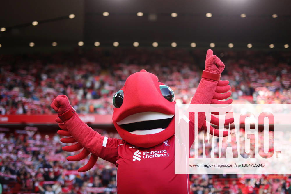 Football - Pre-Season Friendly - Liverpool v Athletic Bilbao 4th August 2025 - Pre-Season Friendly - Liverpool v Athletic Bilbao - Liverpool mascot Mighty Red - Photo: Simon Stacpoole Offside. Liverpool UK