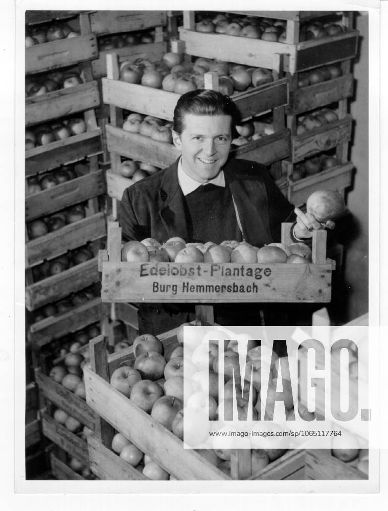 Motorsport Formel 1 U.B.z. Wolfgang Graf Berghe von Trips (Deutschland) auf der vaeterlichen Obstplantage, hier im Obstlager 13.01.1959 auf der Burg Hemmersbach in Horrem (bei Koeln) - Deutschland