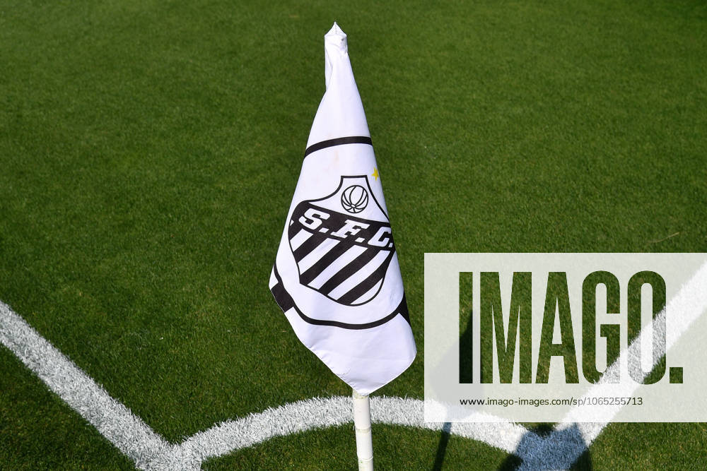 Santos FC x Vasco da Gama SaO PAULO, SP - 17.08.2025: SANTOS FC X VASCO DA GAMA - Moments before the match between Santos FC x Vasco da Gama, valid for the twentieth round of the 2025 Brazilian Football Championship, this Sunday, (17) at Morumbis, SP. (Photo: Roberto Casimiro Fotoarena) x2789017x RobertoxCasimiro