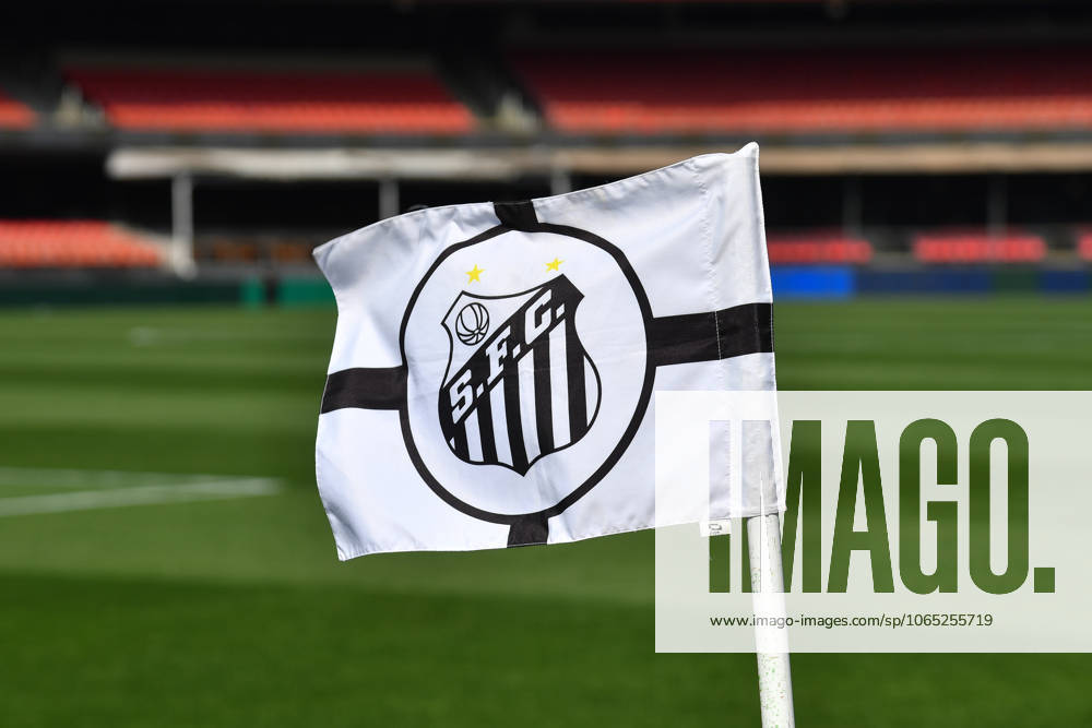 Santos FC x Vasco da Gama SaO PAULO, SP - 17.08.2025: SANTOS FC X VASCO DA GAMA - Moments before the match between Santos FC x Vasco da Gama, valid for the twentieth round of the 2025 Brazilian Football Championship, this Sunday, (17) at Morumbis, SP. (Photo: Roberto Casimiro Fotoarena) x2789018x RobertoxCasimiro