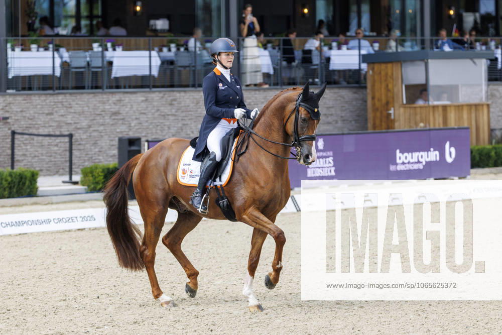 CROZET (FRA) - FEI Dressage European Championship, EM, Europameisterschaft 2025, CROZET (FRA) - FEI Dressage European Championship 2025 ZWEISTRA Thamar (NED), Hexagons Luxuriouzz N.O.P. Deutscher Fanblock Grand Prix de Dressage - Team Competition Crozet, Jiva Hill Stables 27. August 2025 -