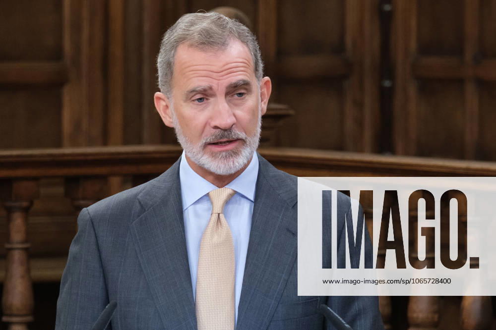 King Felipe VI of Spain seen during the delivery of the Camino Real Award on its fifth edition at the auditorium of the University of Alcala, in Alcala de Henares, Madrid. The Camino Real award has been granted by the Franklin Institute of the University of Alcala, which recognizes the professional work of Spaniards who in an outstanding and exemplary way project and enhance the positive image of Spain in the United States. The projection of the image of Spain in North America by the tennis player, means his triumph in the US Open (2019), as well as in previous editions of 2010, 2013, 2017 and in other tournaments played in North America.