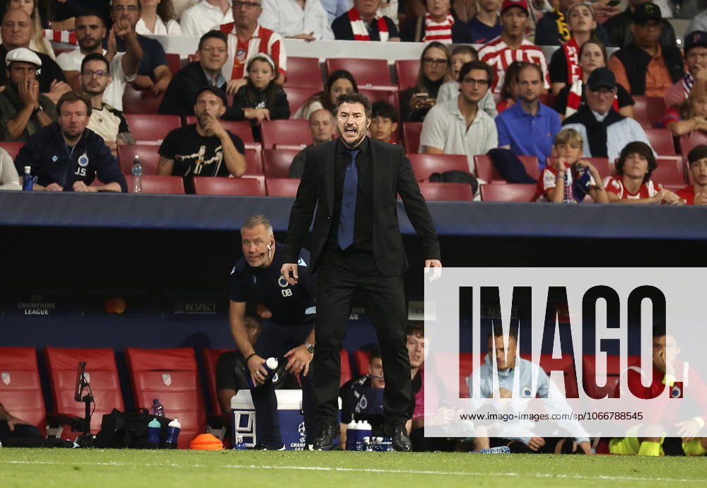 Atletico Madrid v Club Brugge - UEFA Champions League MADRID, SPAIN - OCTOBER 12: Club Brugge coach Carl Hoefkens gestures during the UEFA Champions League Group B football match between Atletico Madrid and Club Brugge at Civitas Metropolitano Stadium in Madrid, Spain on October 12, 2022. Madrid Spain. Editorial use only. Please get in touch for any other usage.