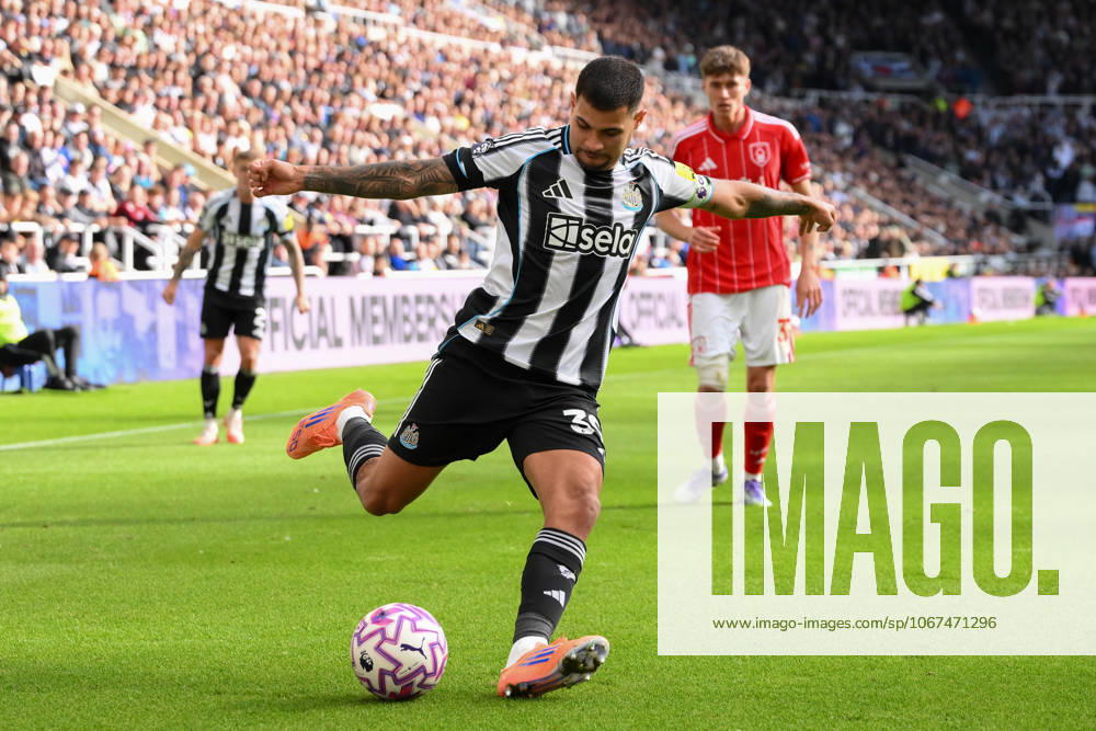 Newcastle United v Nottingham Forest - Premier League Bruno Guimaraes of Newcastle United lines up a cross during the Premier League match between Newcastle United and Nottingham Forest at St. James s Park in Newcastle, United Kingdom, on October 5, 2025. Newcastle Tyne and Wear United Kingdom