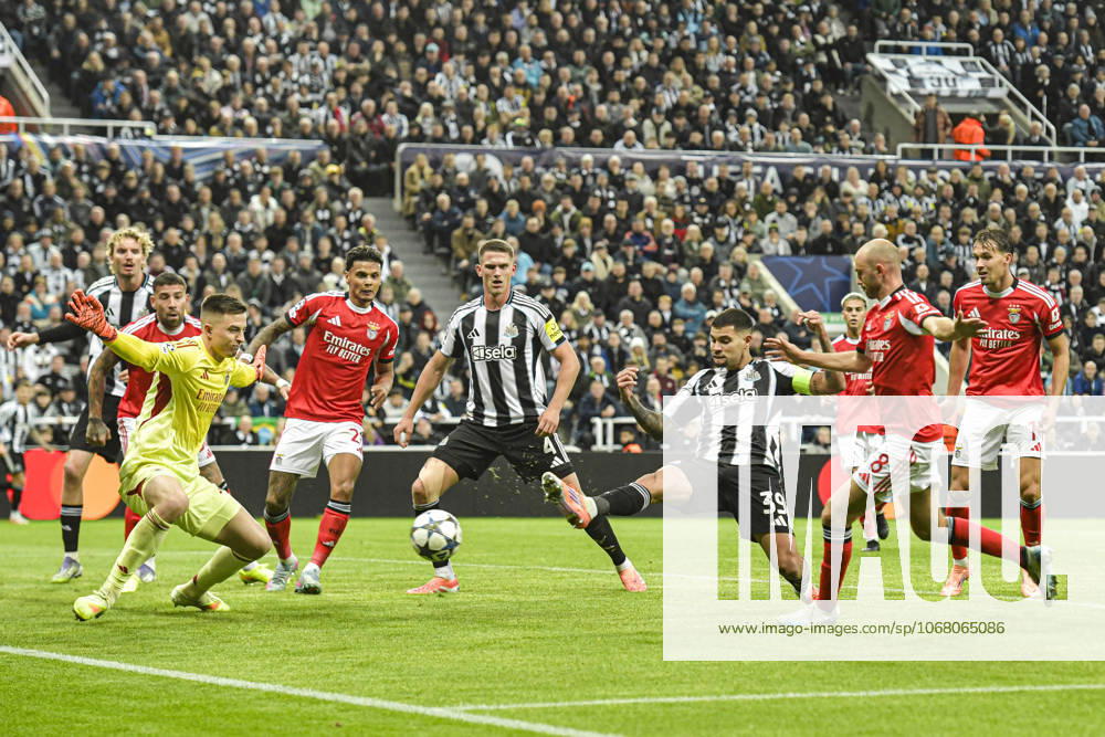 Newcastle United v Benfica UEFA Champions League Bruno Guimaraes of Newcastle United shoots as Anatoliy Trubin of Benfica makes a save during the UEFA Champions League match at St. James s Park, Newcastle UK Newspapers OUT