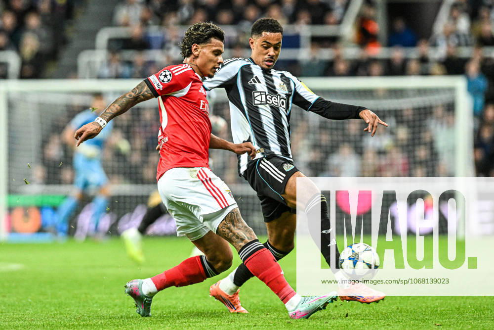 Newcastle United v Benfica UEFA Champions League Jacob Ramsey of Newcastle United looks to block Richard Rios of Benficas pass during the UEFA Champions League match at St. James s Park, Newcastle UK Newspapers OUT