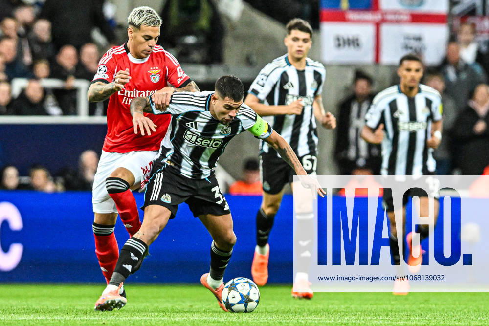 Newcastle United v Benfica UEFA Champions League Bruno Guimaraes of Newcastle United and Enzo Barrenechea of Benfica battle for the ball during the UEFA Champions League match at St. James s Park, Newcastle UK Newspapers OUT