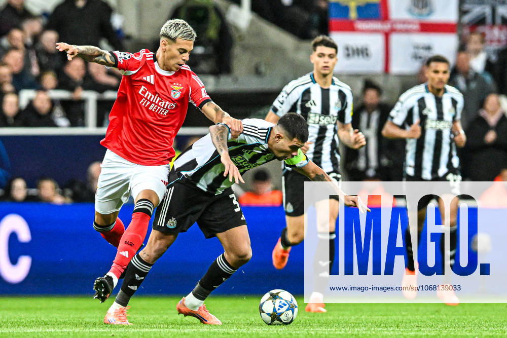 Newcastle United v Benfica UEFA Champions League Bruno Guimaraes of Newcastle United and Enzo Barrenechea of Benfica battle for the ball during the UEFA Champions League match at St. James s Park, Newcastle UK Newspapers OUT
