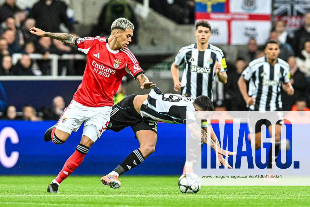 Newcastle United v Benfica UEFA Champions League Bruno Guimaraes of Newcastle United and Enzo Barrenechea of Benfica battle for the ball during the UEFA Champions League match at St. James s Park, Newcastle UK Newspapers OUT
