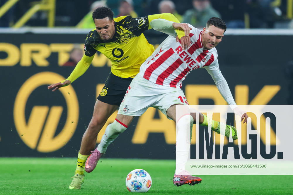 Fußball 1. Bundesliga 8. Spieltag Borussia Dortmund - 1. FC Köln am 25.10.2025 im Signal Iduna Park in Dortmund Felix Nmecha ( Dortmund ), links - Said El Mala ( Köln ), rechts DFL regulations prohibit any use of photographs as image sequences and or quasi-video.