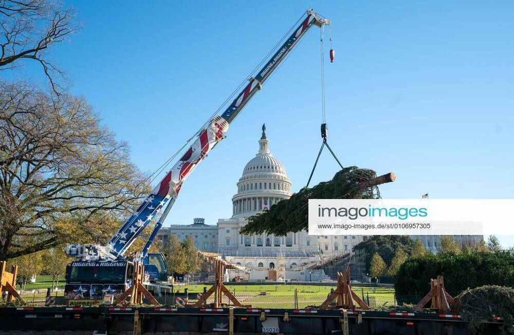 The 2020 U.S. Capitol Christmas Tree is unloaded on the grounds of the U.S. Capitol in Washington, DC on Friday, November 20, 2020. The Capitol Christmas Tree is an Engelmann spruce from the Grand Mesa, Uncompahgre and Gunnison (GMUG) National Forests in Colorado. WAP20201120319 KEVINxDIETSCH