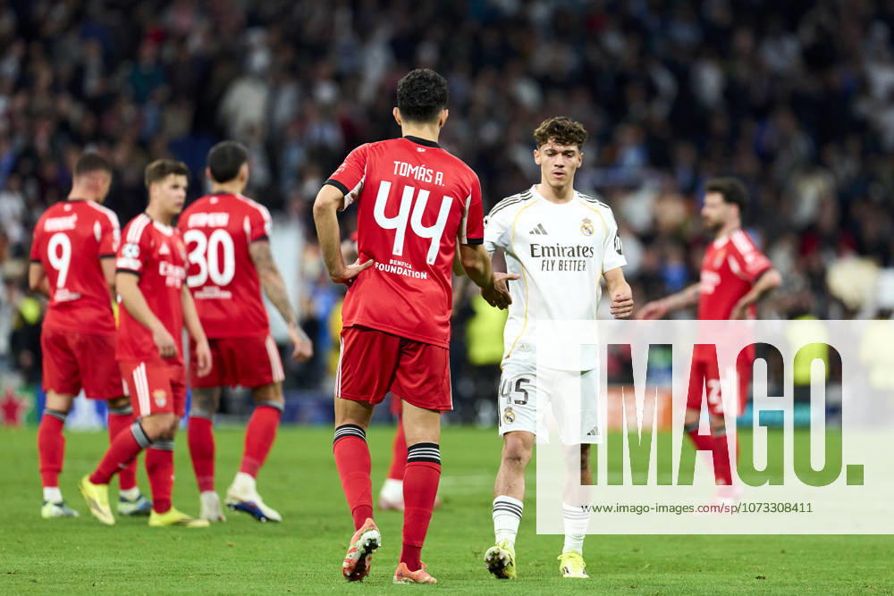 Thiago Pitarch of Real Madrid CF and Tomas Araujo of SL Benfica during the UEFA Champions League match between Real Madrid CF and SL Benfica at Bernabeu Stadium on February 25, 2026. - 25 02 2026 - Spain Madrid Madrid - LGMx Pictorium LePictorium_0328692
