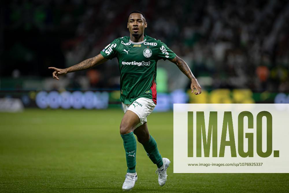 Match between Palmeiras and Santos, valid for the 2026 Brazilian Championship. Sao Paulo (SP), 02 05 2026 - Brasileirao Palmeiras vs Santos - Player Allan scores and celebrates his goal, but VAR disallows it during the match between Palmeiras and Santos, valid for the 14th round of the Brazilian football championship, at Allianz Parque on Saturday night, May 2nd, 2026, Brazil. Credit: William Oliveira PhD Press TheNews2(Foto: Phd Press Thenews2 imago images) SPO