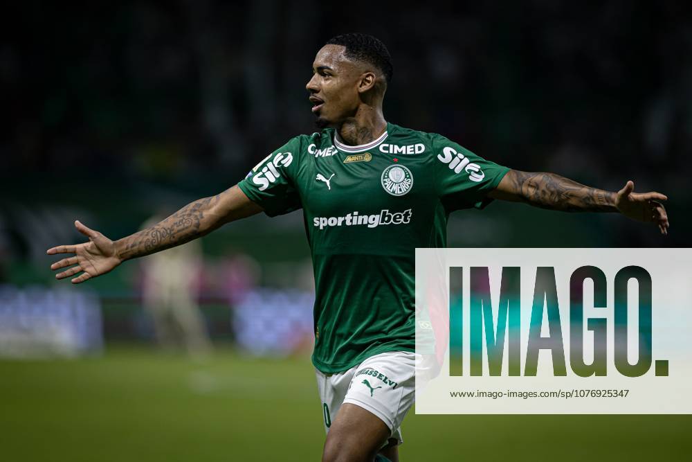 Match between Palmeiras and Santos, valid for the 2026 Brazilian Championship. Sao Paulo (SP), 02 05 2026 - Brasileirao Palmeiras vs Santos - Player Allan scores and celebrates his goal, but VAR disallows it during the match between Palmeiras and Santos, valid for the 14th round of the Brazilian football championship, at Allianz Parque on Saturday night, May 2nd, 2026, Brazil. Credit: William Oliveira PhD Press TheNews2(Foto: Phd Press Thenews2 imago images) SPO
