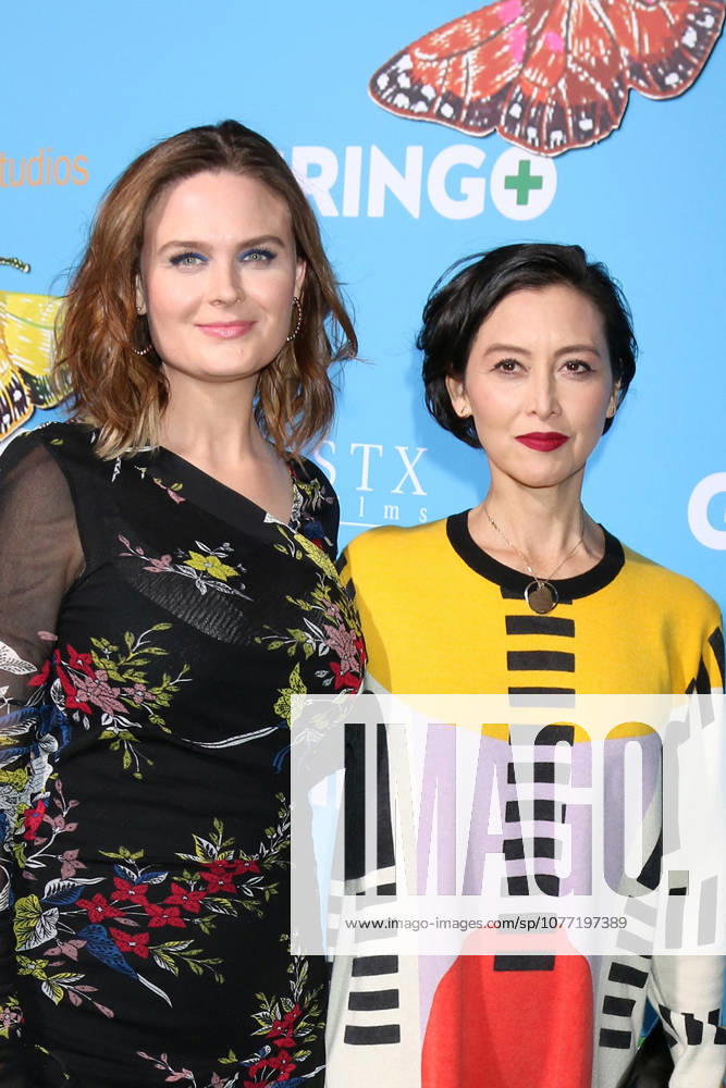 Los Angeles, CA, USA - LOS ANGELES - MAR 6: Emily Deschanel, Joel Edgerton, Guest at the Gringo Premiere at Regal LA Live on March 6, 2018 in Los Angeles, CA