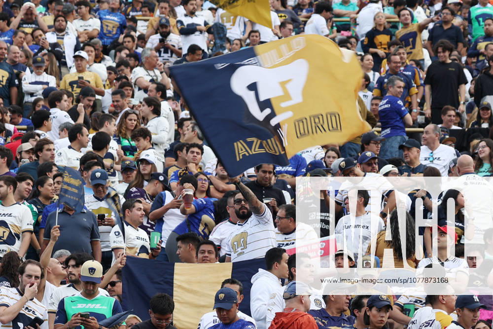 A Pumas fan waves the Pumas flag during the final second leg match between Pumas UNAM and Cruz Azul as part of the Liga MX Torneo Clausura 2026 at Estadio Olimpico Universitario. on May 24, 2026 in Mexico City, Mexico. Mexico City Mexico - ZUMAe321 20260524_zsa_e321_002