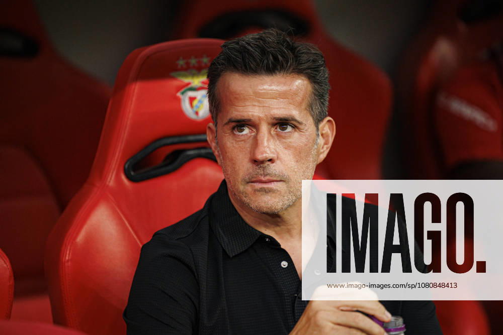 Marco Silva seen during Liga Portugal game between teams of SL Benfica and Academico de Viseu FC (Maciej Rogowski Ball Raw Images PT) Lisbon Estadio Da Luz Portugal